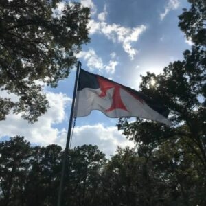 Drapeau templier noir et blanc avec croix rouge – Image 2